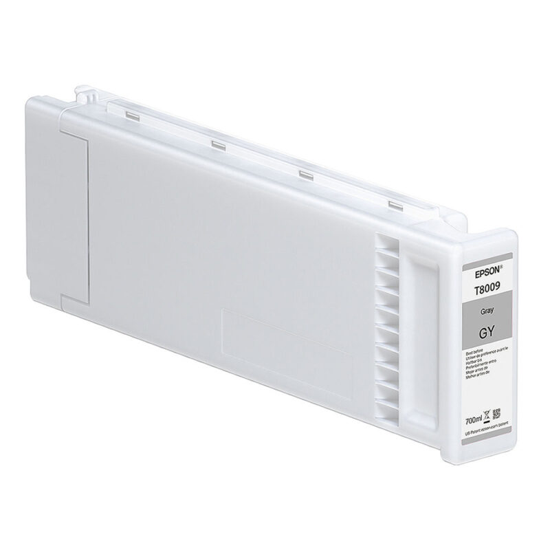 Epson Μελάνι Inkjet T8009 Grey (C13T800900) (EPST800900)